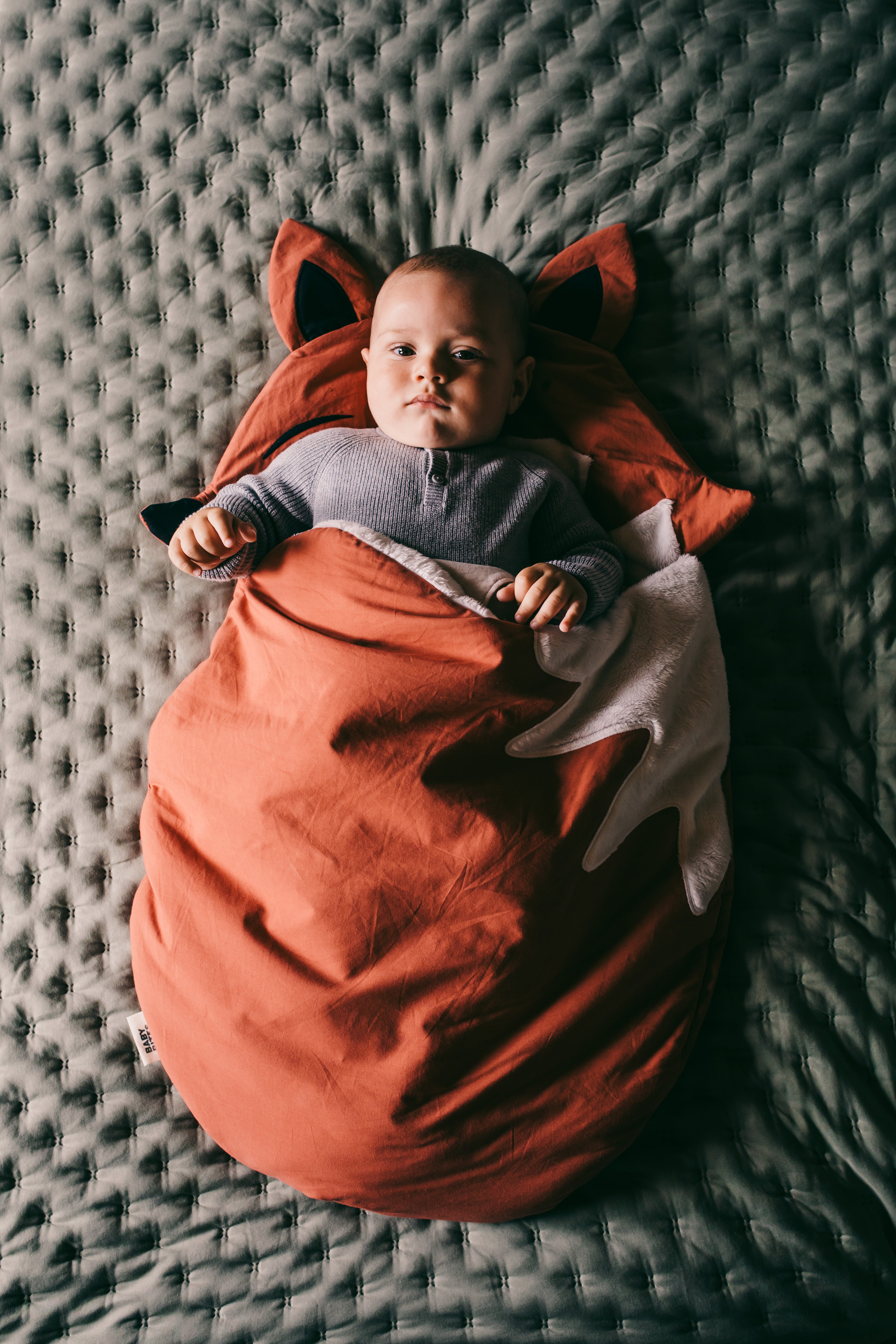 Fox in Terracotta Sleeping Bag 🦊 .