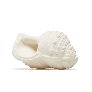 Shell Teether