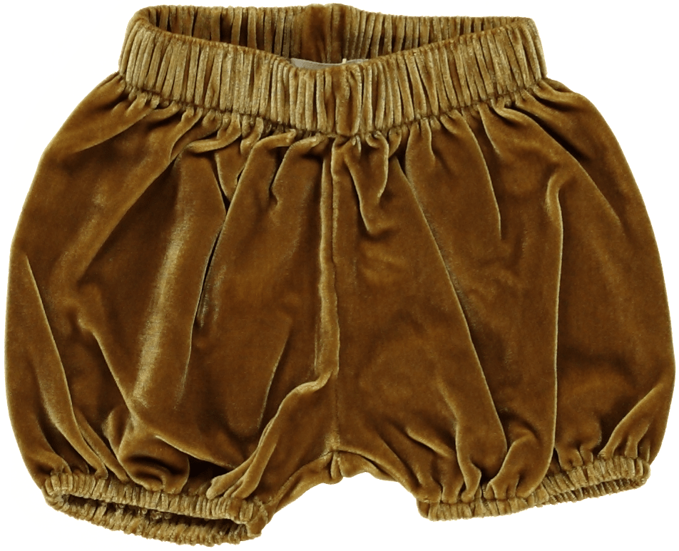 Gold Velvet Bloomer